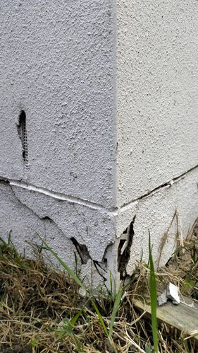 1000054259.jpg 1000054259.jpg