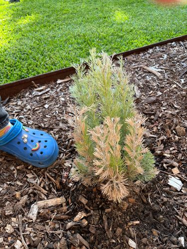 IMG_3689.jpeg IMG_3689.jpeg