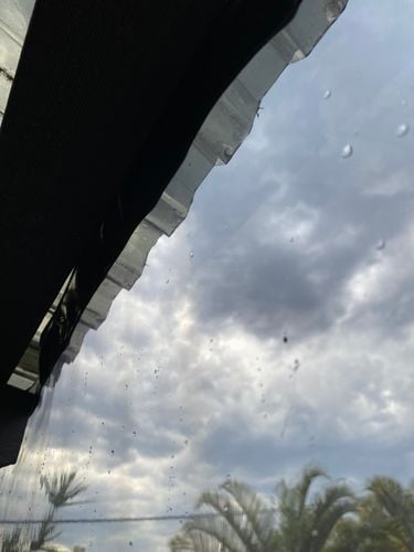 EE30EA64-39B7-46BF-B79F-77C300EACA42.jpeg EE30EA64-39B7-46BF-B79F-77C300EACA42.jpeg