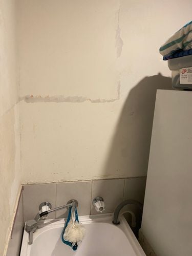 IMG_2221.jpeg IMG_2221.jpeg