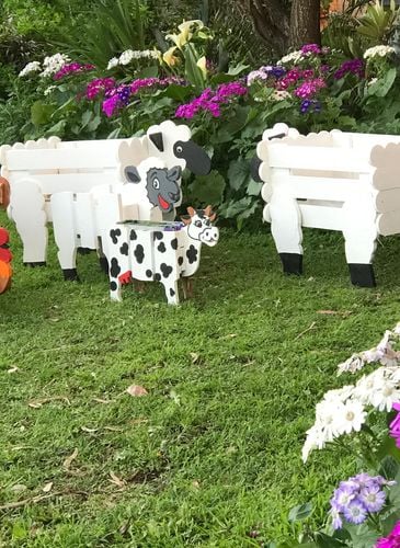 A1A672EC-02C3-448C-B36D-26DC2AD5EA46.jpeg A1A672EC-02C3-448C-B36D-26DC2AD5EA46.jpeg