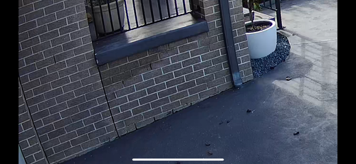 IMG_2868.png IMG_2868.png