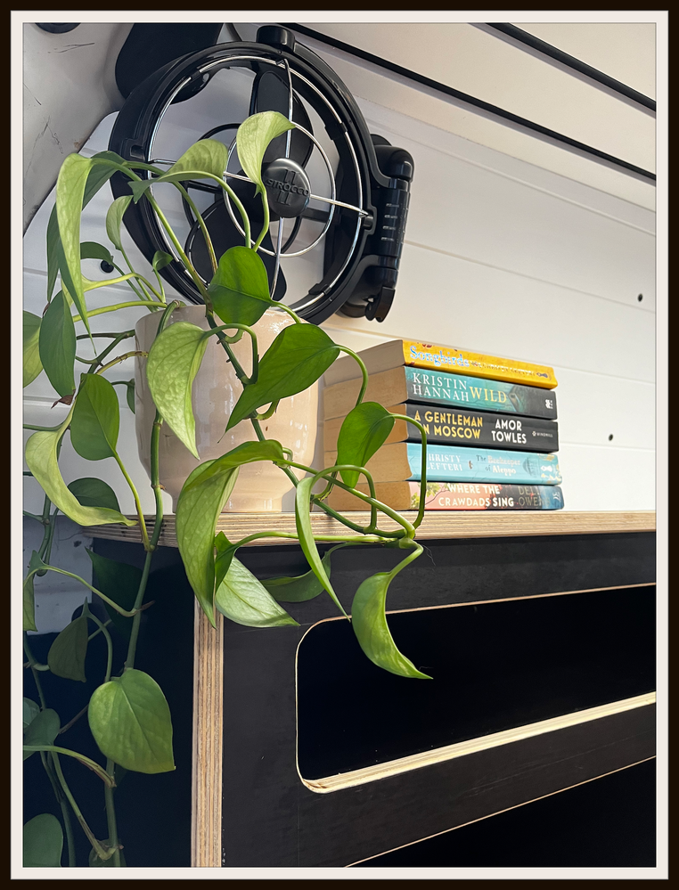 Resized Image 19.png Resized Image 19.png