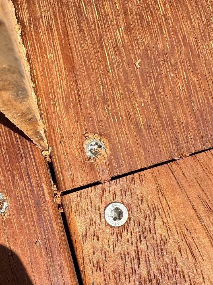 462570140_534406792905410_8602238199938034146_n.jpg 462570140_534406792905410_8602238199938034146_n.jpg