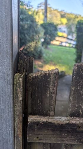 1000006238.jpg 1000006238.jpg