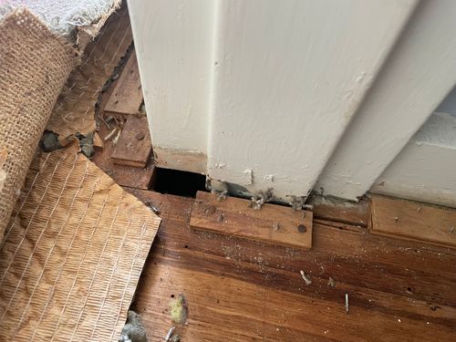 IMG_2927.jpeg IMG_2927.jpeg