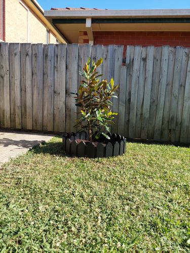 20230109_090624.jpg 20230109_090624.jpg