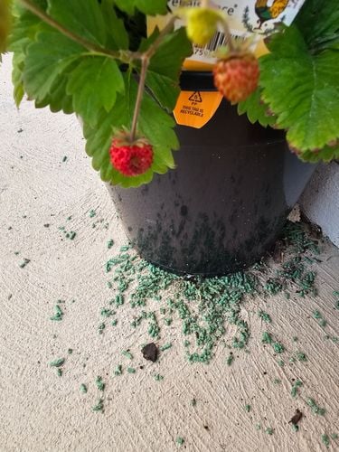 1000032298.jpg 1000032298.jpg