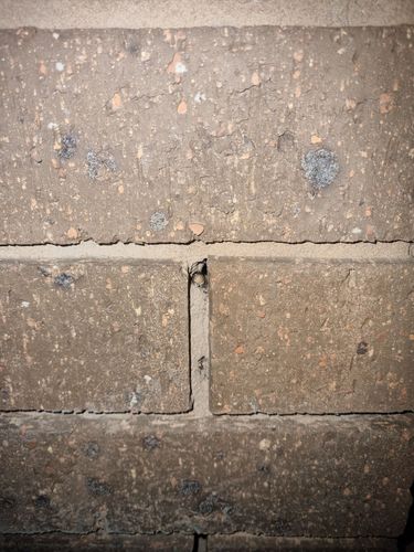 1000049632.jpg 1000049632.jpg