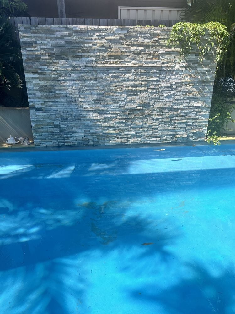 IMG_4218 2.jpg IMG_4218 2.jpg