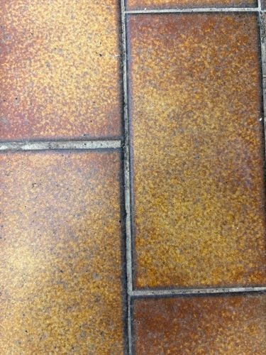 IMG_5442.jpeg IMG_5442.jpeg