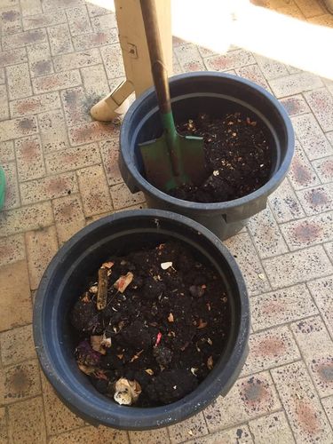 2A7C8D9E-102B-4D34-8C4A-F89B54A91C93.jpeg 2A7C8D9E-102B-4D34-8C4A-F89B54A91C93.jpeg