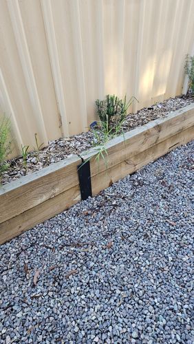 1000003384.jpg 1000003384.jpg