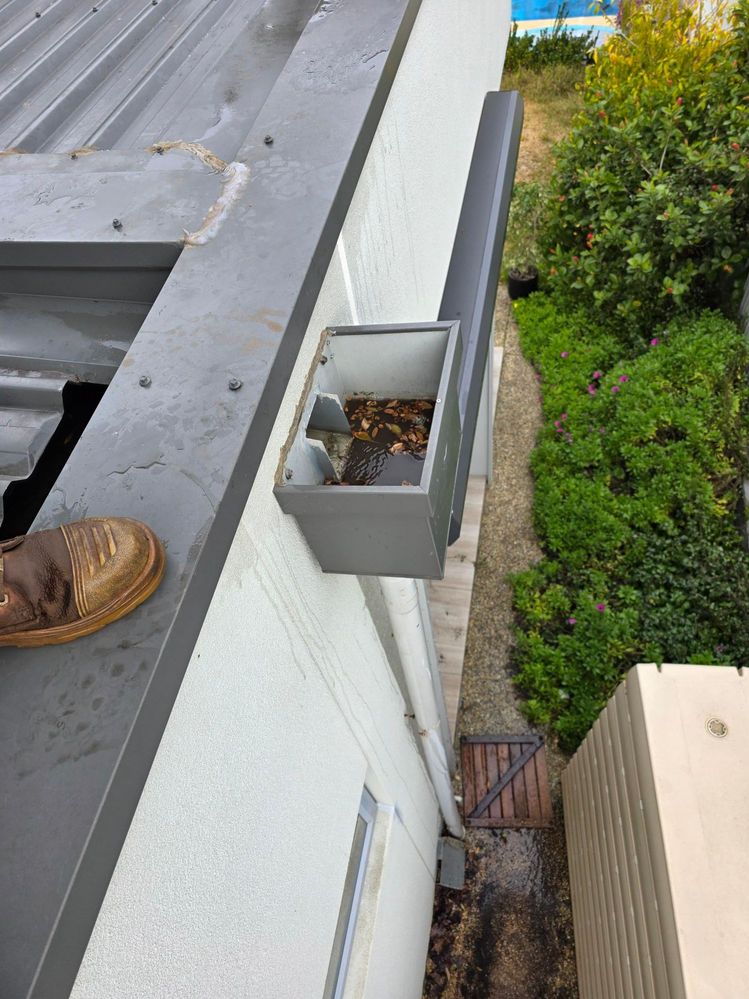 1000007828.jpg 1000007828.jpg