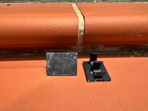 IMG_7858.jpeg IMG_7858.jpeg