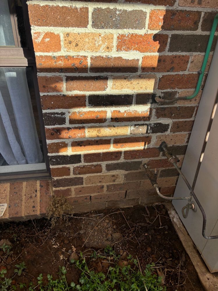 IMG_4442.jpg IMG_4442.jpg