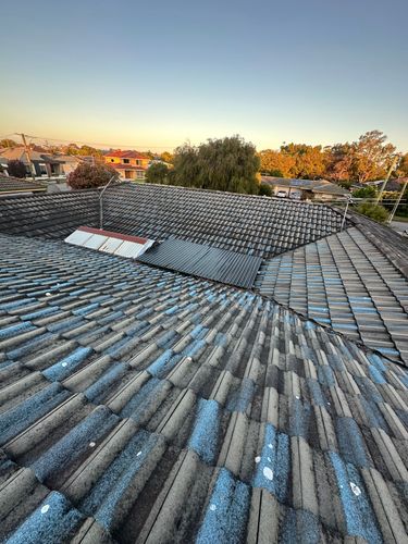 IMG_2065.jpeg IMG_2065.jpeg