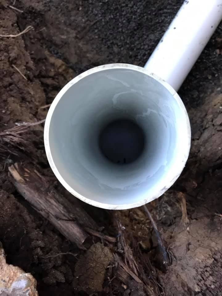 37 11-07-2021.jpg 37 11-07-2021.jpg