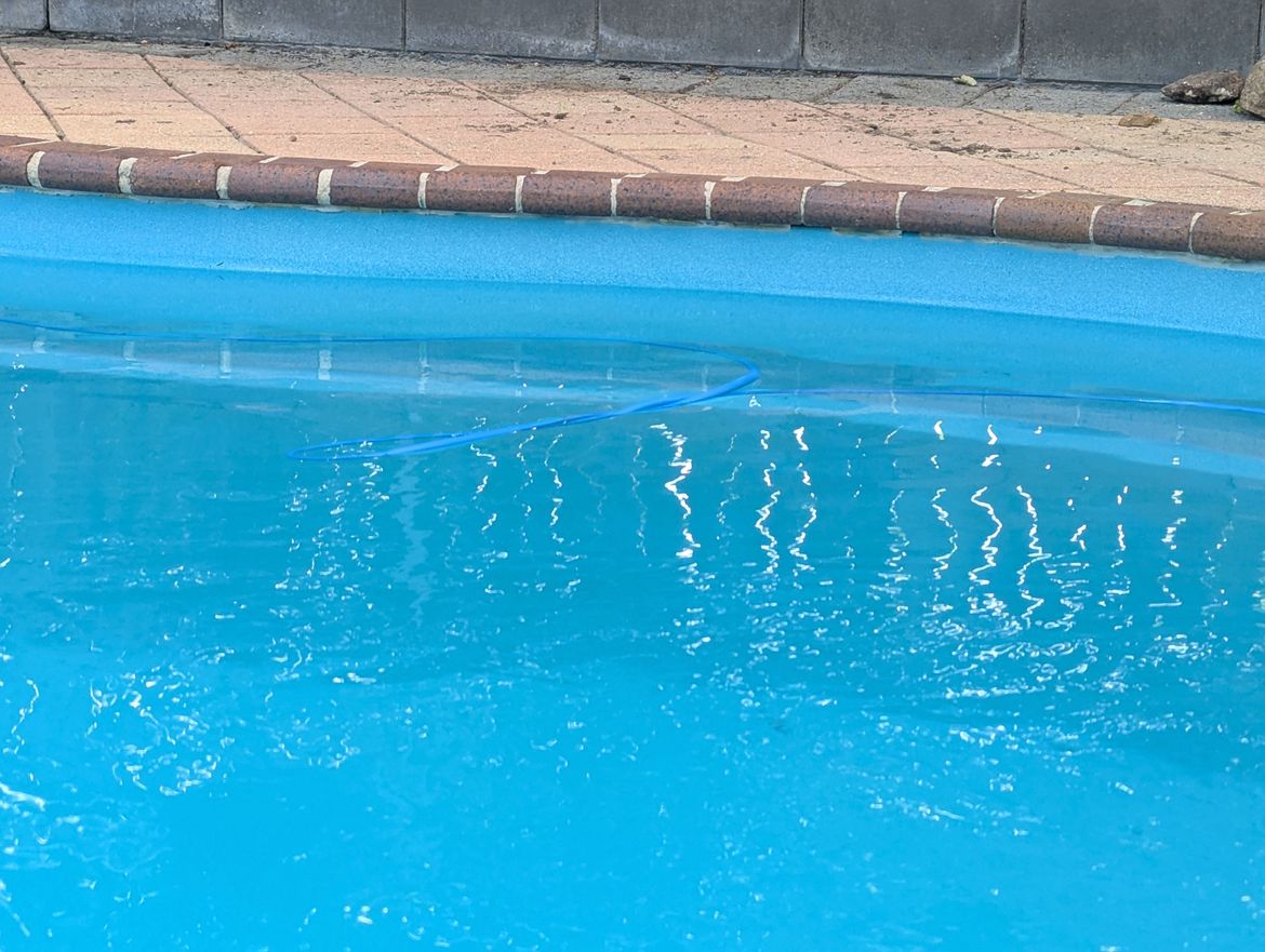 PXL_20250103_060310312.jpg PXL_20250103_060310312.jpg