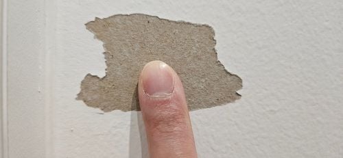 1000007159.jpg 1000007159.jpg