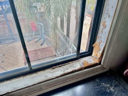 IMG_2120.jpeg IMG_2120.jpeg