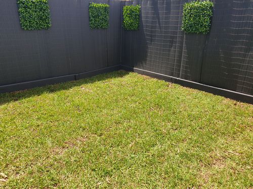 20210207_131321.jpg 20210207_131321.jpg