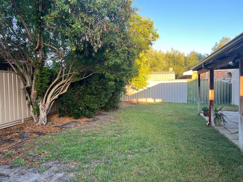 IMG_4622.jpeg IMG_4622.jpeg