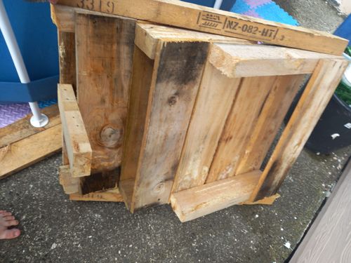 20250126_174258.jpg 20250126_174258.jpg