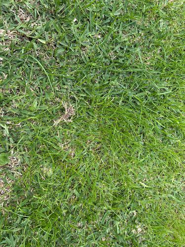 IMG_4845.jpeg IMG_4845.jpeg