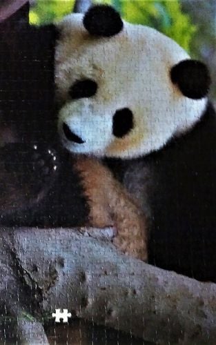 IMAG0326_1.jpg IMAG0326_1.jpg