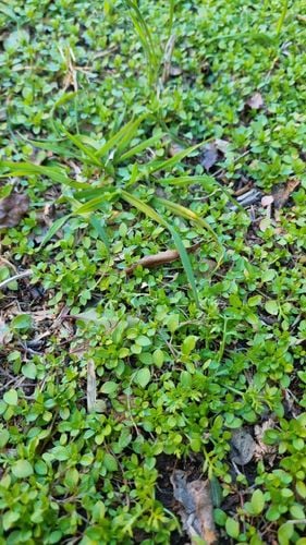 1000030894.jpg 1000030894.jpg