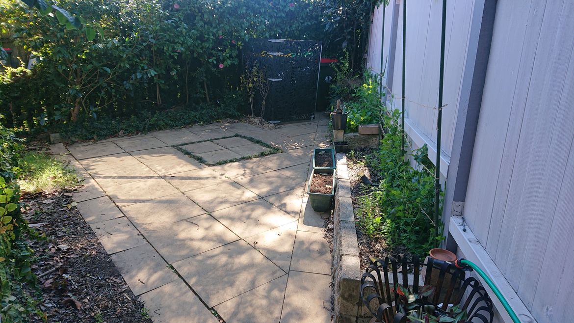 DSC_0382.JPG DSC_0382.JPG