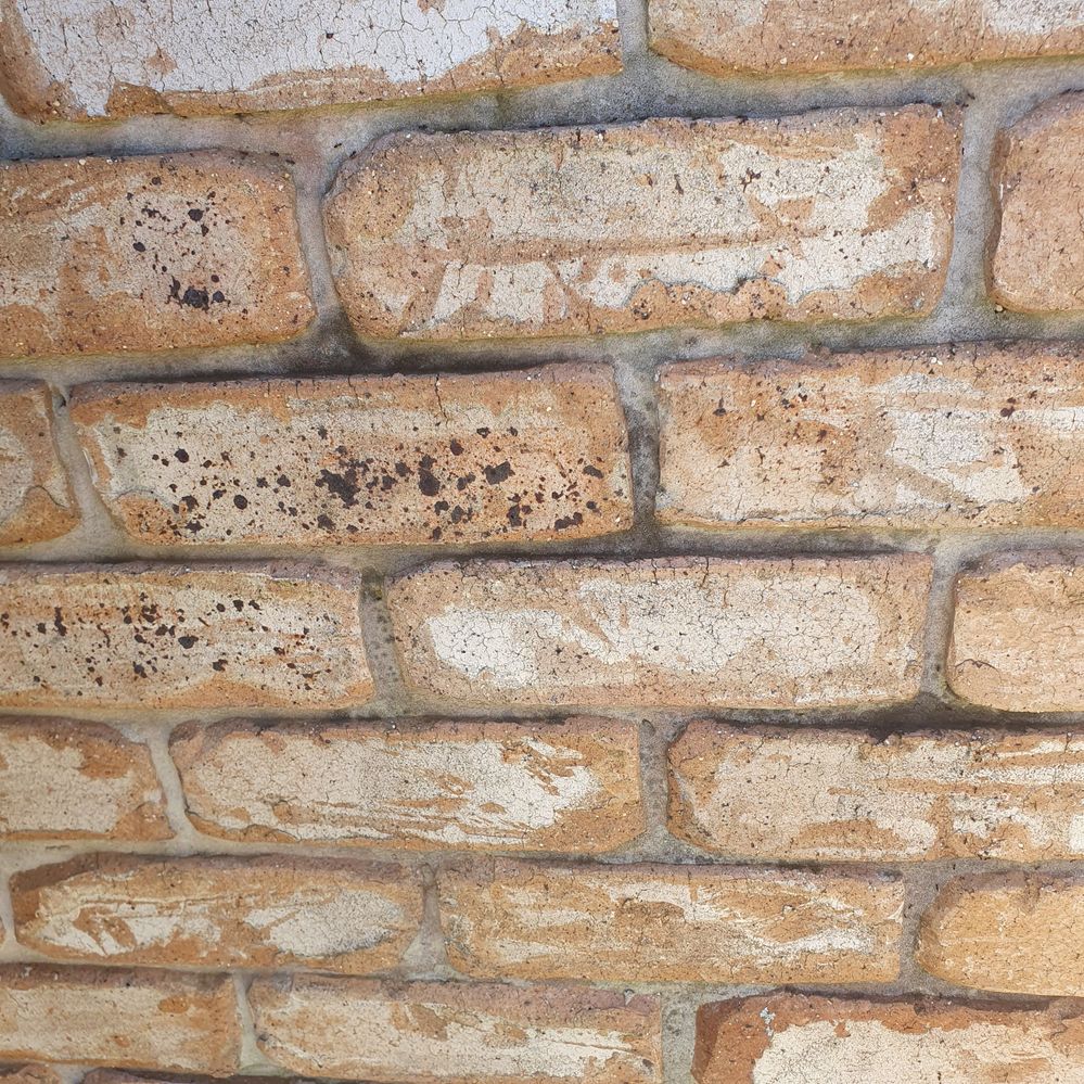 20240526_101949.jpg 20240526_101949.jpg