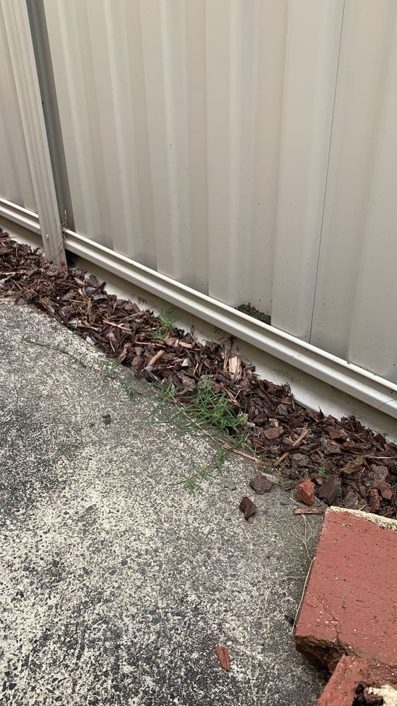 5f744734-53f2-42c4-b35e-c53fbbaf08f7.jpeg 5f744734-53f2-42c4-b35e-c53fbbaf08f7.jpeg