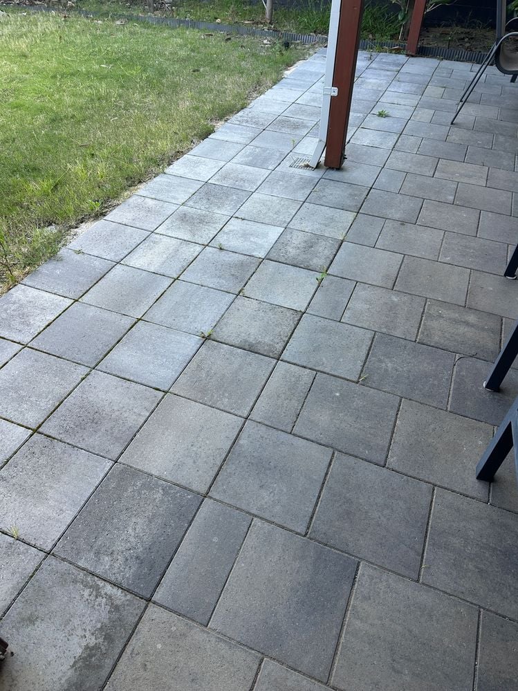 IMG_0048.JPG IMG_0048.JPG