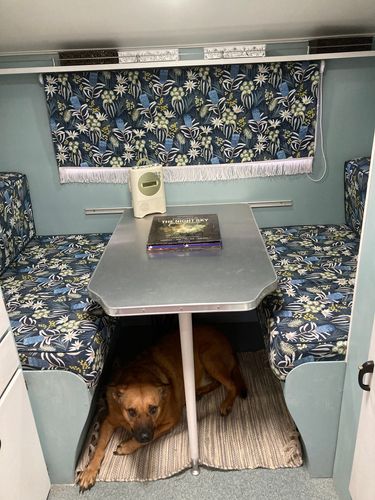 C1E7301F-1BA0-4717-A1EA-032C430F4575.jpeg C1E7301F-1BA0-4717-A1EA-032C430F4575.jpeg