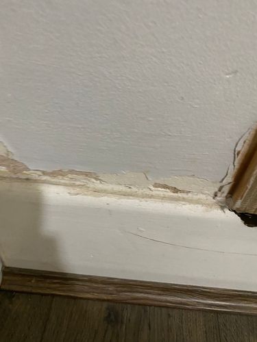 image_67126785.JPG image_67126785.JPG