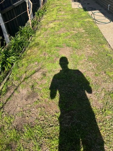 IMG_4409.jpeg IMG_4409.jpeg