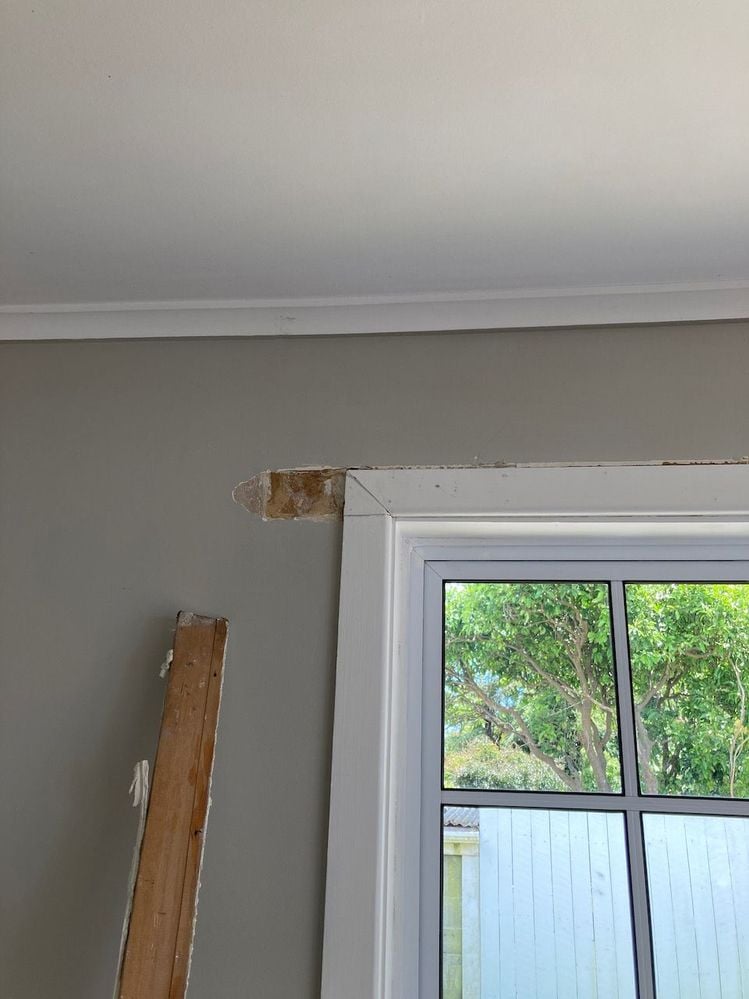 IMG_0226.jpeg IMG_0226.jpeg