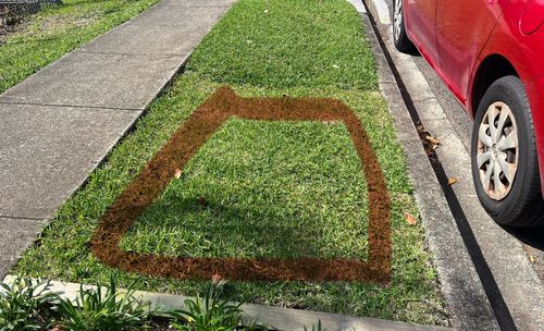 IMG_0955.jpeg IMG_0955.jpeg