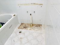 RenoDiary.jpeg RenoDiary.jpeg