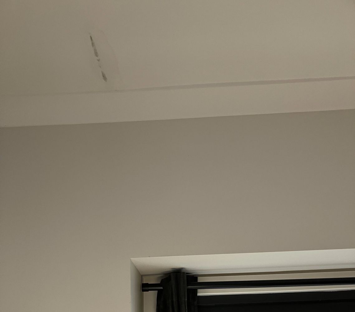 IMG_1498.jpg IMG_1498.jpg