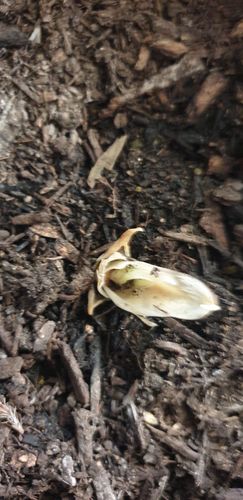 20240804_084342.jpg 20240804_084342.jpg