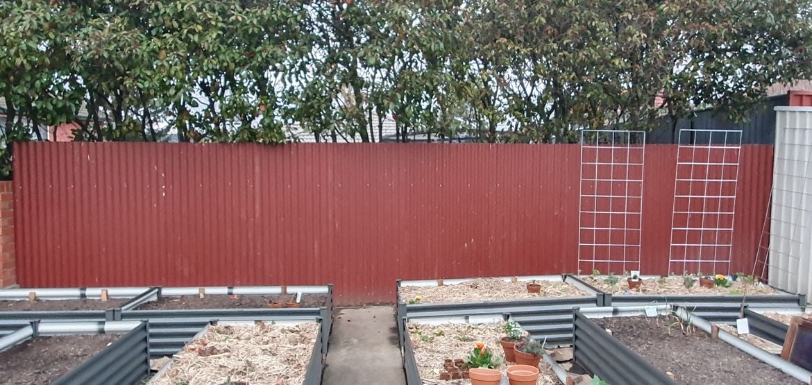 20240814_173004.jpg 20240814_173004.jpg