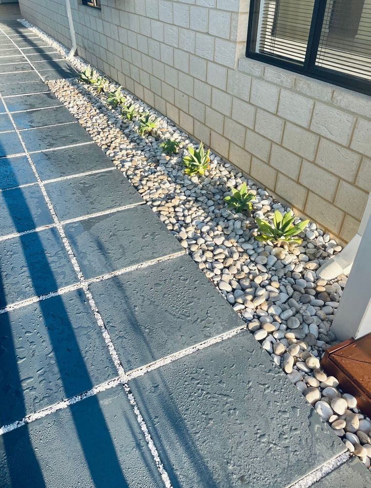 1375F1C8-B9B9-4548-8003-8F79A508A606.jpeg 1375F1C8-B9B9-4548-8003-8F79A508A606.jpeg