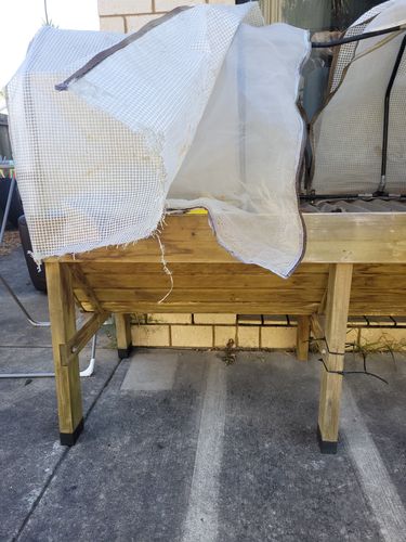 20250731_122718.jpg 20250731_122718.jpg