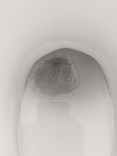 PXL_20211222_053229775.jpg PXL_20211222_053229775.jpg