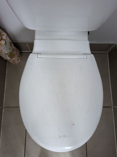 1000003685.jpg 1000003685.jpg