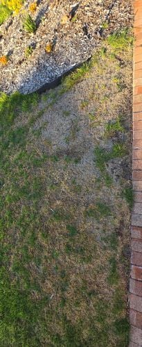 1000025607.jpg 1000025607.jpg