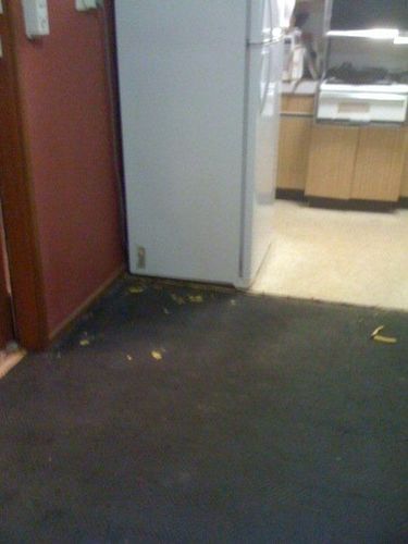 05 02-06-2009.jpg 05 02-06-2009.jpg